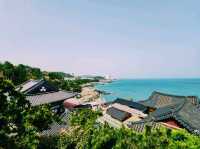 🏞️【山海之間】海東龍宮寺：依海而建的靈性秘境