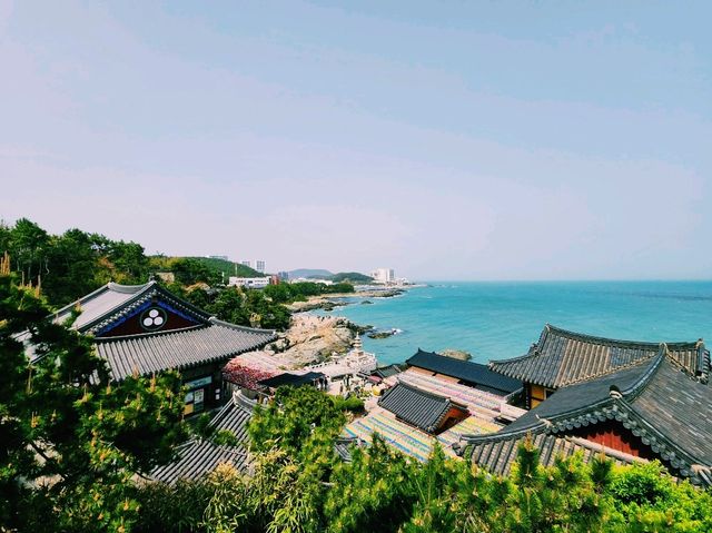 🏞️【山海之間】海東龍宮寺：依海而建的靈性秘境