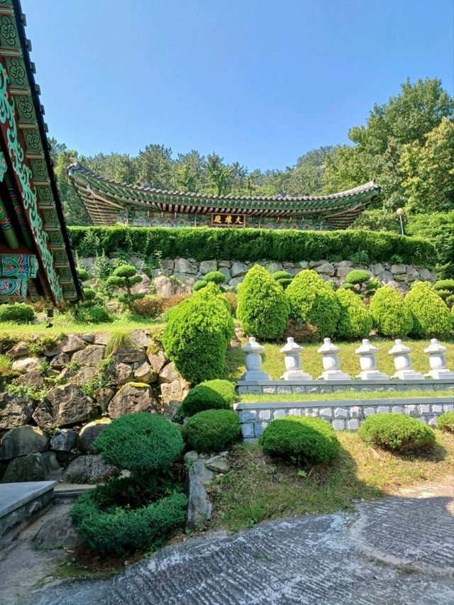 해안 드라이브 코스에 찰떡✨