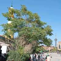 Kashgar Old City (Xinjiang)
