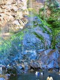 🌳 Beneath the Old Tree: The Heart of Sungai Lembing
