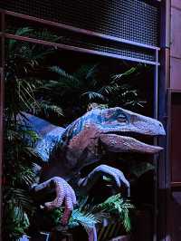 Meet the Raptors: Thrilling Encounter with Echo, Charlie, and Delta at Jurassic World SG