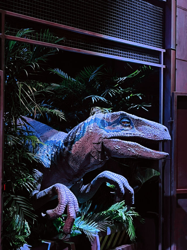 Meet the Raptors: Thrilling Encounter with Echo, Charlie, and Delta at Jurassic World SG