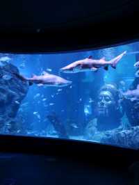 Sea Life Bangkok Ocean World จ.กรุงเทพฯ