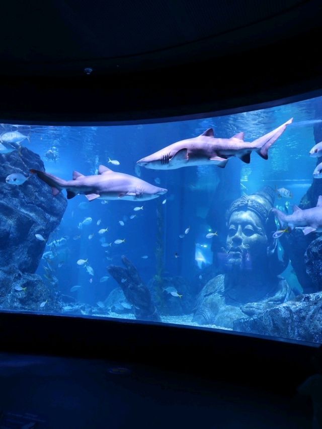 Sea Life Bangkok Ocean World จ.กรุงเทพฯ
