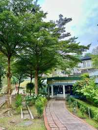Whispers of Water: A Serene Pause in the Garden