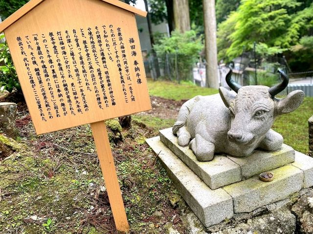 Above the Clouds at Mount Hiei – Japan