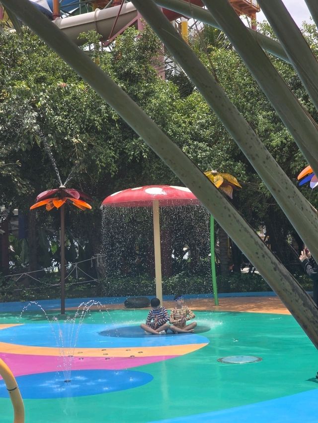 빈원더스 놀이동산, 힐링과 재미가 동시에! 🌺