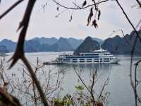 Vietnam Adventure