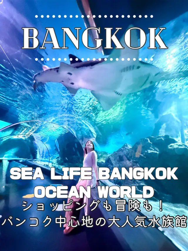 【Bangkok】Walk right above the sharks?! A “picture-perfect” aquarium in the heart of Bangkok🩵