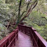 Discover Tranquility on the Erziping Trail