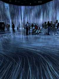 Enchanting World of Digital Art— TeamLab Borderless Tokyo 
