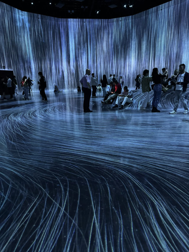 Enchanting World of Digital Art— TeamLab Borderless Tokyo 
