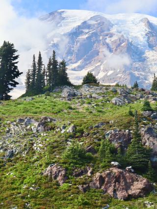 Skyline Trail Must-Do | Mount Rainier’s Dreamiest Hike & Safety Tips