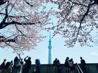 全方位視角:晴空塔的日夜、遠近與高空之美