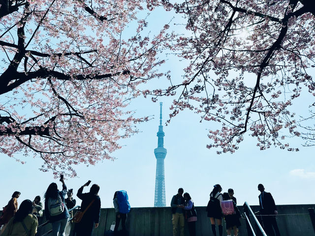 全方位視角:晴空塔的日夜、遠近與高空之美  全方位視角:晴空塔的日夜、遠近與高空之美