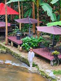 คาเฟ่ สัมผัสธรรมชาติ ที่ปางไฮ