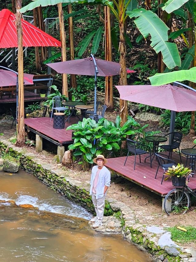 คาเฟ่ สัมผัสธรรมชาติ ที่ปางไฮ