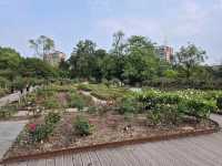 Shanghai Botanical Garden