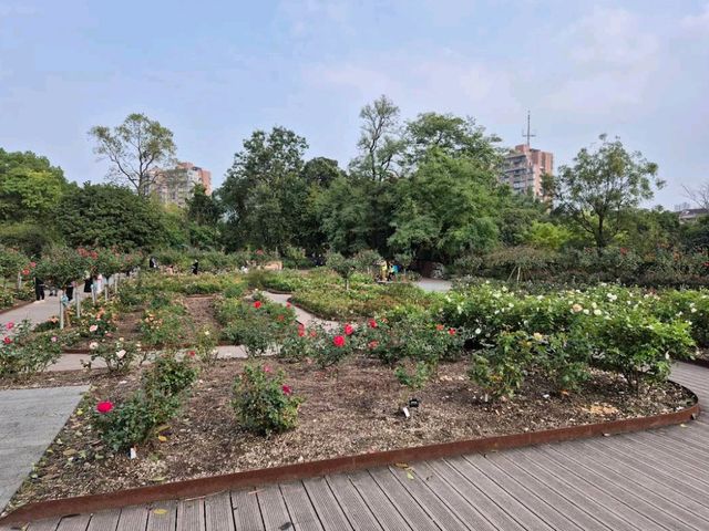 Shanghai Botanical Garden