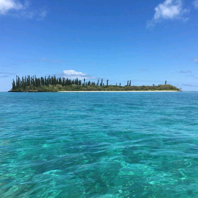 Soaking Up Paradise on the Isle of Pines