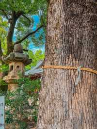 【愛知】期間限定！名古屋の真ん中で出会える“涼やかな絶景”✨🎐