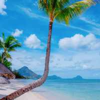 【楽園のような美しさ🏝️】モーリシャス🇲🇺