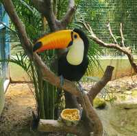 China-Qingyuan 中國-清遠 3 Days 2 Nights (3D2N)