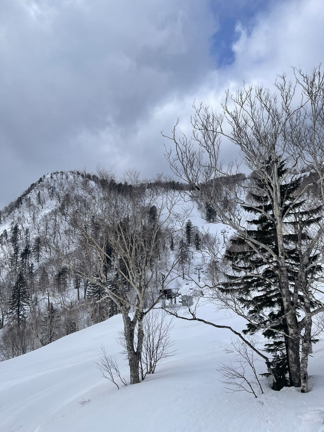 Sapporo ไปแล้วต้องไปซ้ำ❄️ ช่วงเมษา Sapporo ไปแล้วต้องไปซ้ำ❄️ ช่วงเมษา