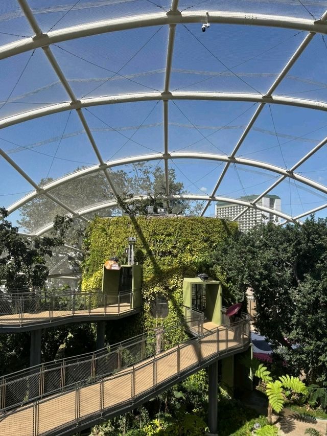 Urban Jungle: Exploring the Philippine Biodome