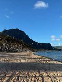 Unwinding on the Stunning Beaches of Mauritius