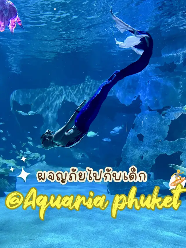 ผจญภัยไปกับเด็ก @Aquaria phuket