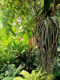 the Secret Garden, Upper Roof @ One Utama, Petaling jaya