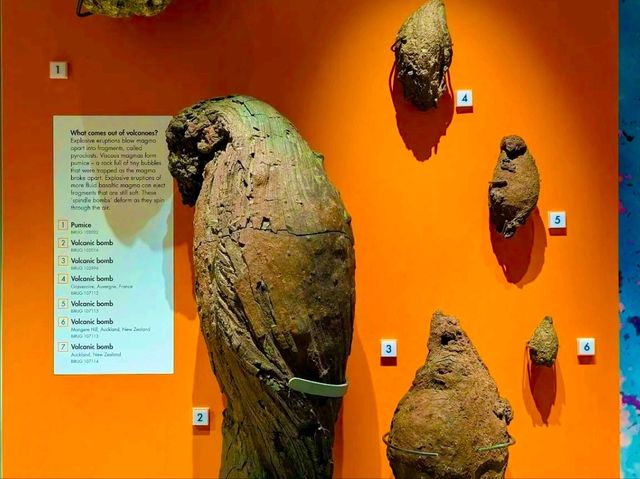 Lapworth Museum of Geology – A Journey Through Earth’s History
