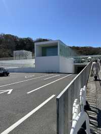 🏛 横須賀美術館（Yokosuka Museum of Art）