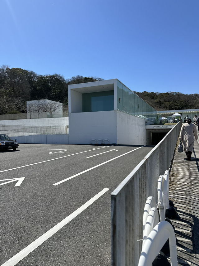 🏛 横須賀美術館（Yokosuka Museum of Art）