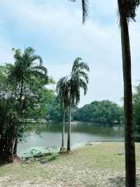 Paya Indah Wetlands Sepang: A Scenic Escape into Nature’s Calm