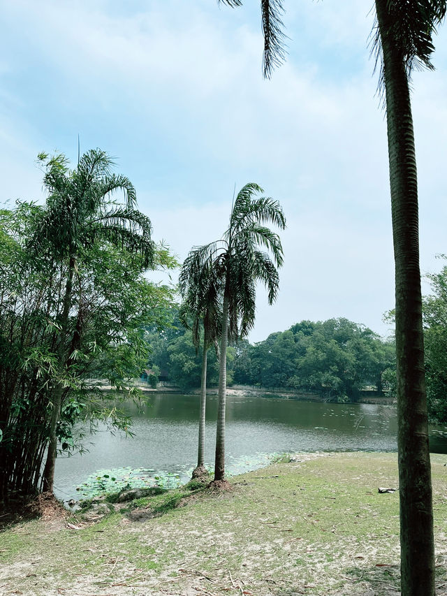 Paya Indah Wetlands Sepang: A Scenic Escape into Nature’s Calm
