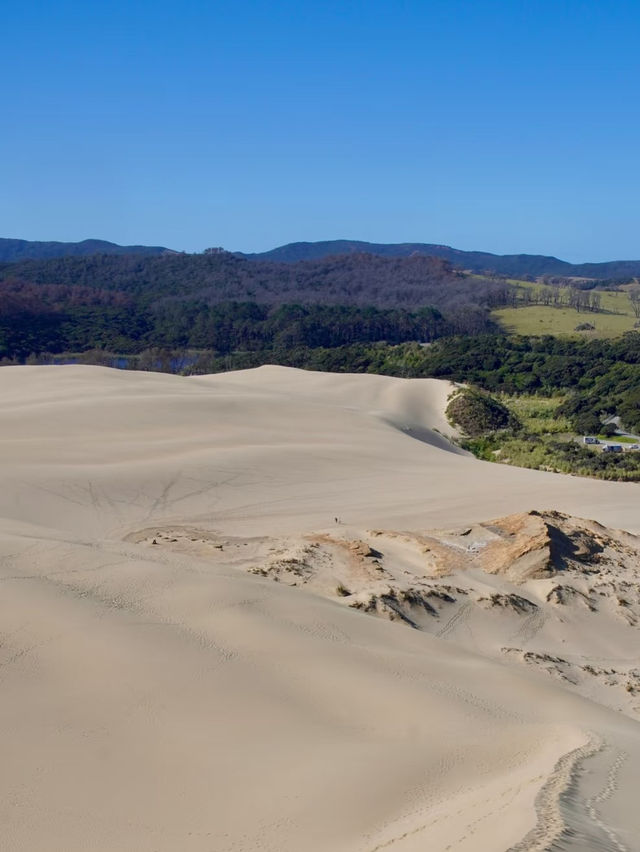 Giant Sand Dunes – Nature’s Majestic Playground in New Zealand Giant Sand Dunes – Nature’s Majestic Playground in New Zealand