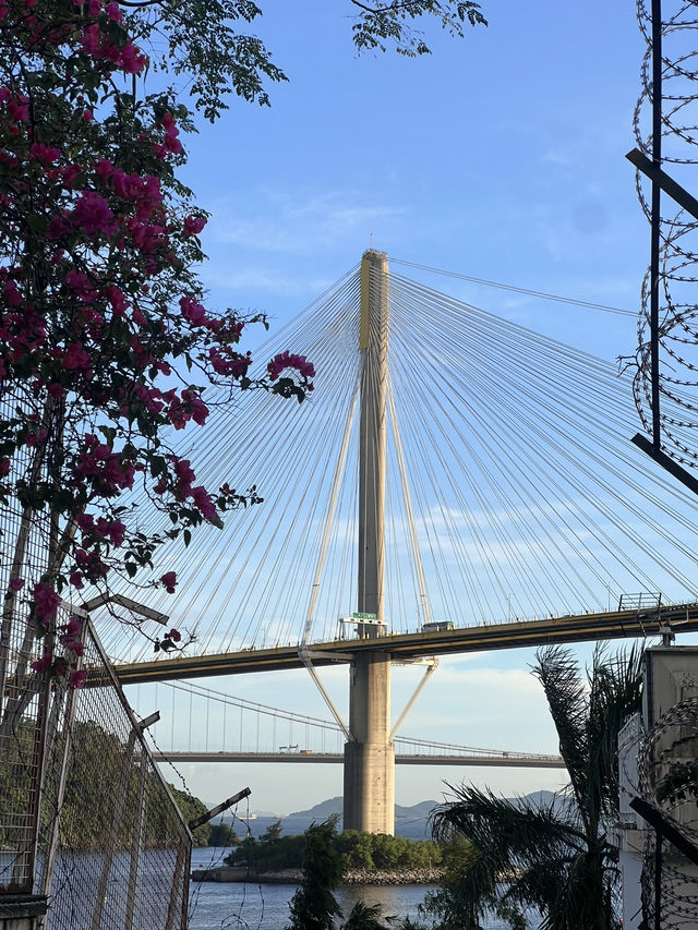 汀九灣泳灘🇭🇰：隱藏在城市邊緣的寧靜天堂