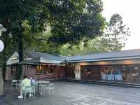桃園大溪半日遊推薦 中正公園 大溪木藝生態博物館