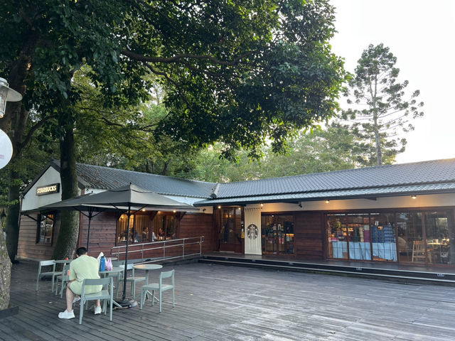 桃園大溪半日遊推薦 中正公園 大溪木藝生態博物館