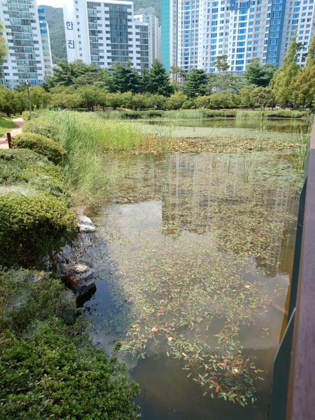 산책하기 좋은 연지공원