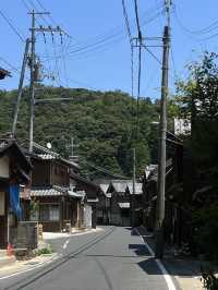 伊根町舟屋、日本三景天橋立 輕鬆一日遊
