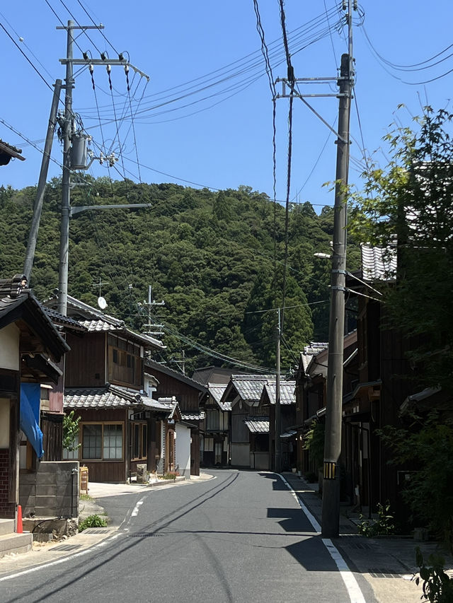 伊根町舟屋、日本三景天橋立 輕鬆一日遊