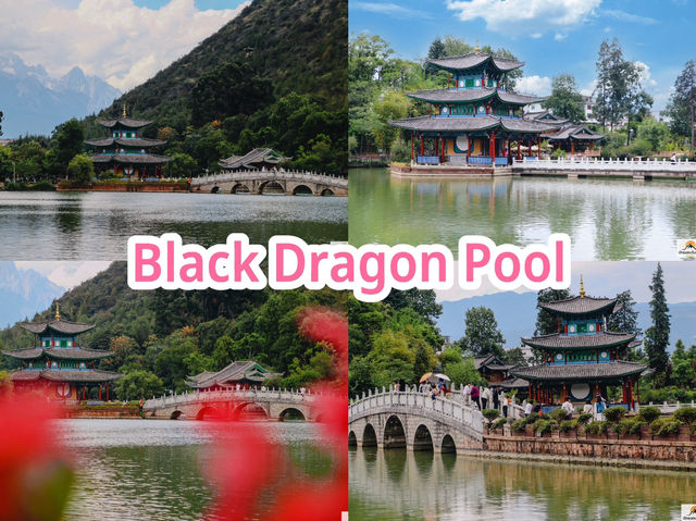 Black Dragon Pool Black Dragon Pool
