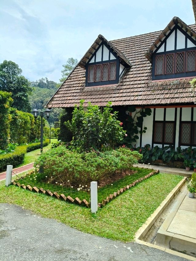Discover Cameron Highland Lakehouse Scenery 🌿