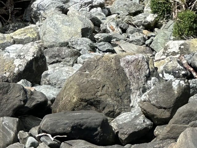Lake Wakatipu