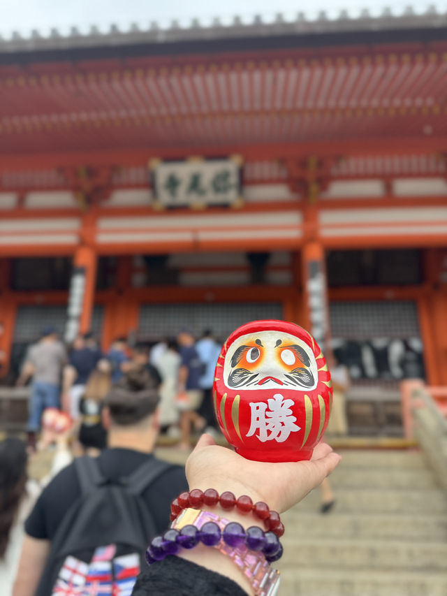  🪆日本勝尾寺打卡遊記｜滿滿達摩的祈福聖地✨
