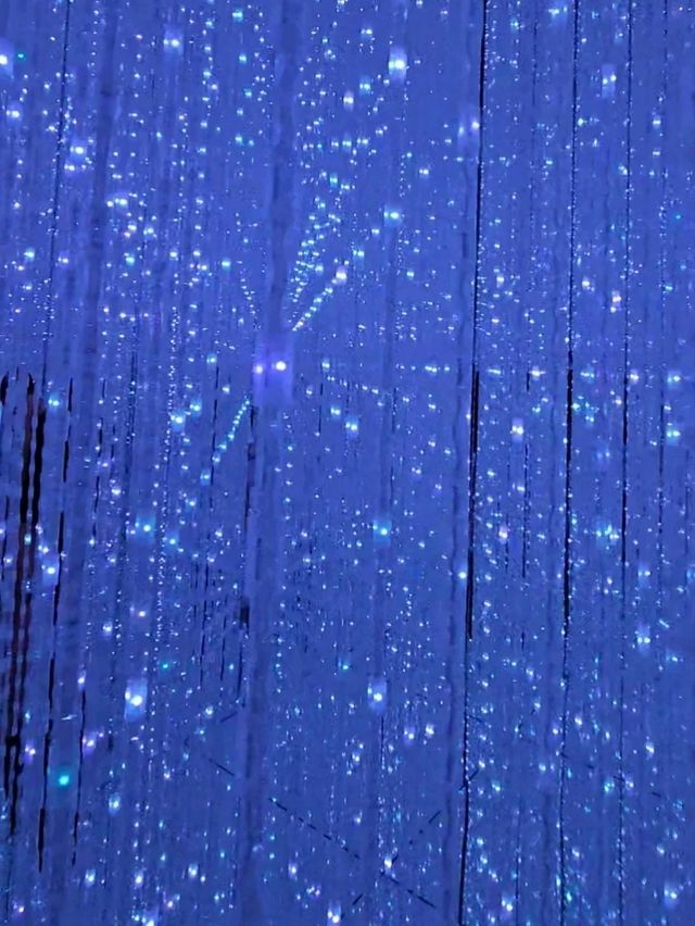 TEAMLAB PLANETS IN TOKYO.